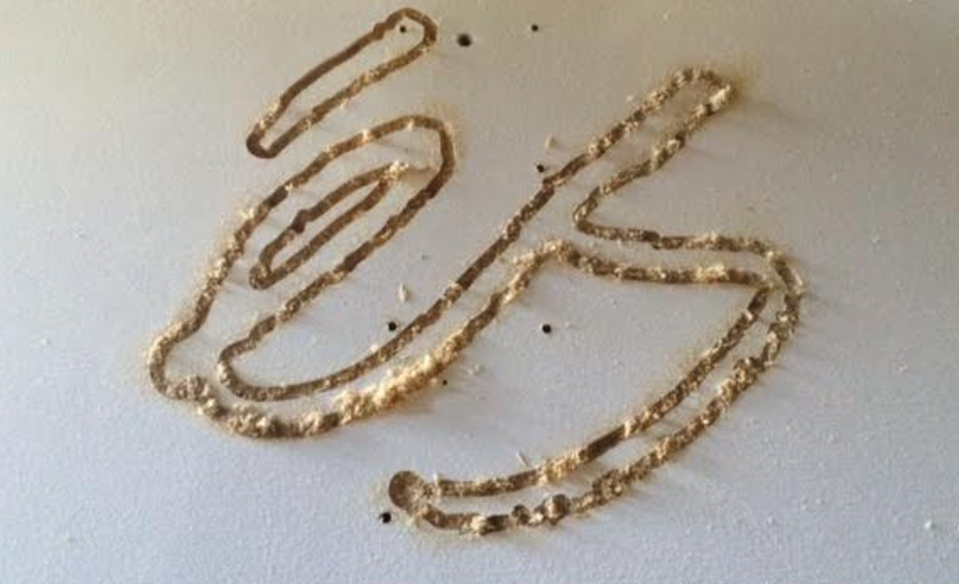 éS bench x OC Ramps