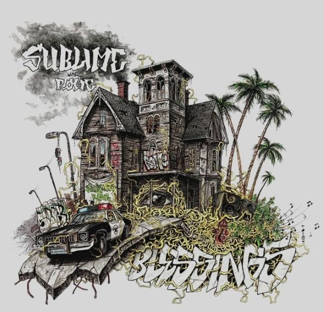 sublime with rome, swr, sublime, oc ramps, orange county, punk, music, skateboarding, half pipe, mini ramp