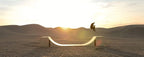 OC Ramps Bachinsky Limited Edition Skate Deck — buy skate deck online