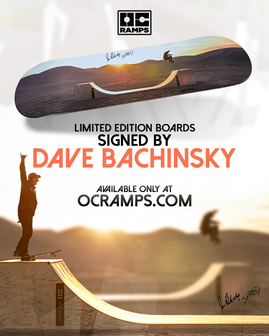 Dave Bachinsky Limited Edition Signed Skateboard Deck | OC Ramps