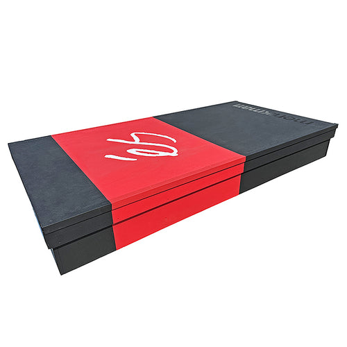 OC Ramps with ES Shoe box custom painted with coping sides